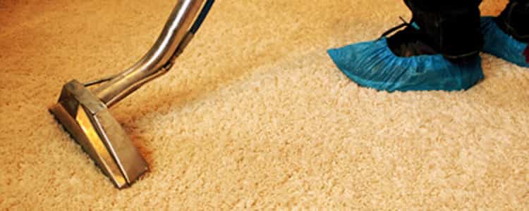 Best End of Lease Carpet Cleaning Nicholls